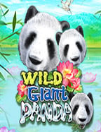 รีวิวเกมสล็อตแมชชีนดาวน์โหลดอย่างเป็นทางการจาก NetEnt